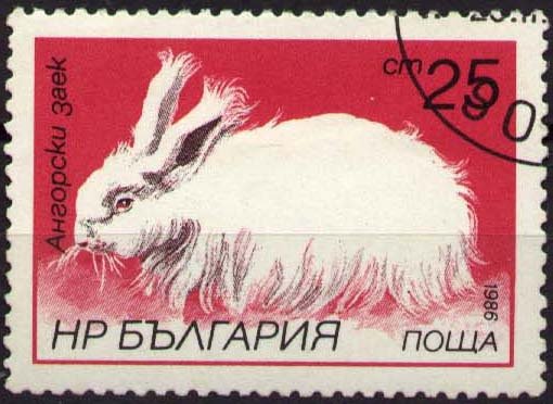 (1986-011) Марка Болгария &quot;Ангорский кролик&quot;   Зайцы и кролики III Θ