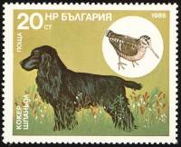 (1985-122) Марка Болгария "Кокер спаниель"   Охотничья собака III Θ