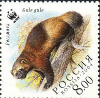 2004-065 Марка Россия Росомаха на дереве  Фауна. Росомаха III O