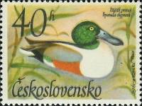 (1967-009) Марка Чехословакия "Северный лопатник "    Водоплавающие птицы III Θ