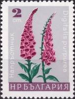 (1966-096) Марка Болгария "Наперстянка пурпурная"   Садовые цветы III Θ