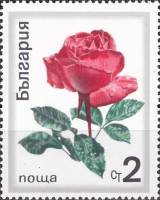 (1970-029) Марка Болгария "Красная роза"   Розы II Θ