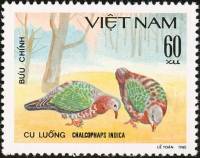(1981-025) Марка Вьетнам "Изумрудный голубь"    Голуби III O