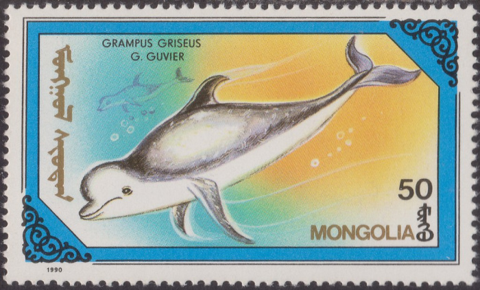 (1990-036) Марка Монголия &quot;Серый дельфин&quot;    Киты и дельфины III Θ