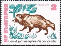 (1973-040) Марка Болгария "Енотовидная собака"    Редкие животные (млекопитающие) III Θ