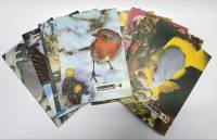 Набор журналов (10 шт) Юный натуралист 1971 № 1, 2, 3, 4, 5, 6, 7, 10, 11, 12 Москва Мягкая обл.  с.