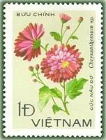 (1978-063a) Марка Вьетнам "Нау до"  Без перфорации  Хризантемы III Θ