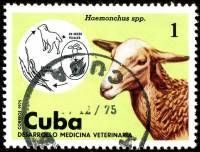 (1975-070) Марка Куба "Овца"    Развитие ветеринарии III Θ