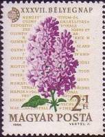 (1964-068) Марка Венгрия "Сирень"    День почтовой марки. Выставка почтовых марок IMEX 1964 III Θ