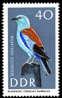 (1967-033) Марка Германия (ГДР) "Сизоворонка"    Птицы II Θ