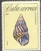 (№1194) Марка Куба 1966 год &quot;Улитка дерева Liguus flamellus&quot;, Негашеная