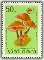 (1990-104) Марка Вьетнам "Опёнок зимний"    Туризм III Θ