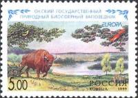 1999-024 Марка Россия Зубр  Окский государственный природный биосферный заповедник III O
