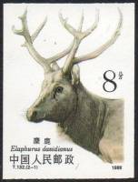 (№1988-2213) Марка Китай 1988 год "David039s пере олень Elaphurus davidianus", Гашеная