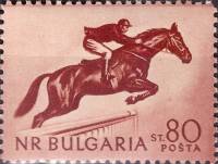 (1954-038) Марка Болгария "Конный спорт"   Спорт III O