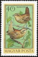 (1973-021) Марка Венгрия "Крапивник"    Певчие птицы II Θ