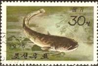(1975-053) Марка Северная Корея "Сом "   Промысловые рыбы III Θ