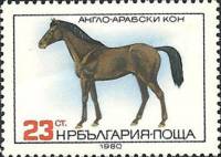 (1980-102) Марка Болгария "Арабский жеребец"   Породы лошадей III Θ