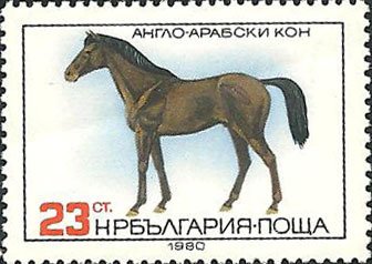 (1980-102) Марка Болгария &quot;Арабский жеребец&quot;   Породы лошадей III Θ