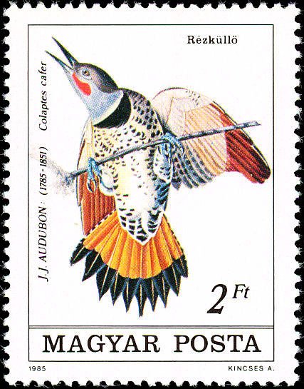 (1985-029) Марка Венгрия "Дятел"    Птицы III O