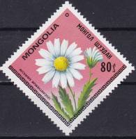 (1979-022) Марка Монголия "Поповник сибирский"    Цветы III Θ