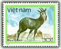 (1988-100) Марка Вьетнам "Суматранский сероу"    Дикие животные III O