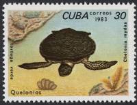 (1983-057) Марка Куба "Зелёная черепаха"    Черепахи III Θ