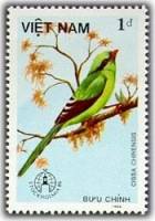 (1986-051) Марка Вьетнам "Обыкновенная зеленая сорока"    Птицы III O