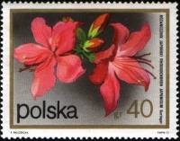 (1972-073) Марка Польша "Рододендрон японский"    Кустарниковые Цветы III Θ