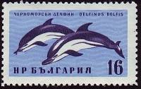 (1961-050) Марка Болгария "Дельфин черноморский"   Фауна Чёрного моря III Θ
