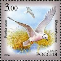 2006-075 Марка Россия Розовая чайка  Фауна Республики Саха (Якутия) III O