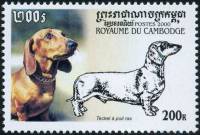 (№2000-2109) Марка Камбоджа 2000 год "Короткошерстная такса canis волчанка familiaris", Гашеная