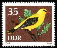 (1973-025) Марка Германия (ГДР) "Обыкновенная иволга"    Птицы III Θ