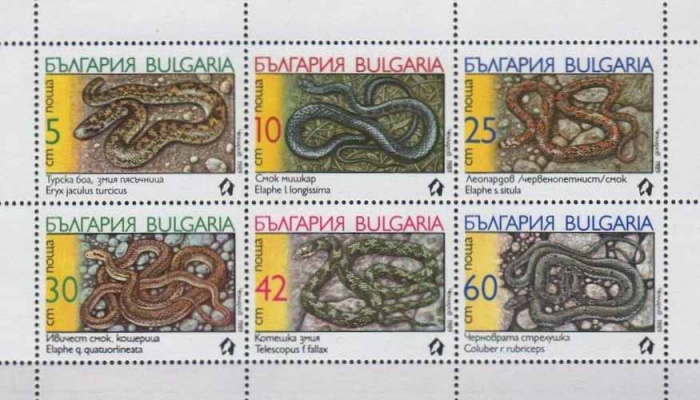 (1989-093a) Сцепка (6 м) Болгария &quot;Змеи&quot;   Змеи III Θ
