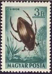 (1954-013) Марка Венгрия &quot;Окаймлённый плавунец&quot;    Насекомые III Θ