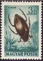 (1954-013) Марка Венгрия "Окаймлённый плавунец"    Насекомые III Θ