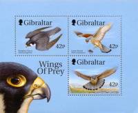 (№1999-39) Блок марок Гибралтар 1999 год "Хищные птицы соколы", Гашеный