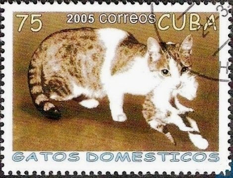 (№4704) Марка Куба 2005 год &quot;Домашней кошки felis silvestris зато с щенком&quot;, Гашеная