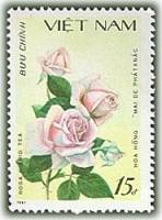 (1988-005) Марка Вьетнам "Белая роза"    Розы III Θ