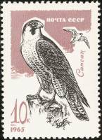 1965-137 Марка СССР Сапсан   Хищные птицы II O