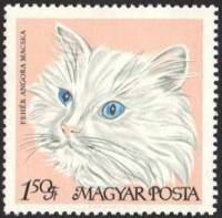 (1968-013) Марка Венгрия "Белая персидская"    Домашние кошки III Θ