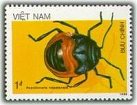 (1987-028) Марка Вьетнам "Непальский щитоносный жук"    Насекомые III Θ