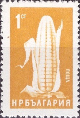 (1965-012) Марка Болгария "Кукуруза"   Стандартный выпуск. Сельскохозяйственные культуры II &Theta;