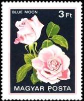 (1982-020) Марка Венгрия "Голубая луна"    Розы III Θ