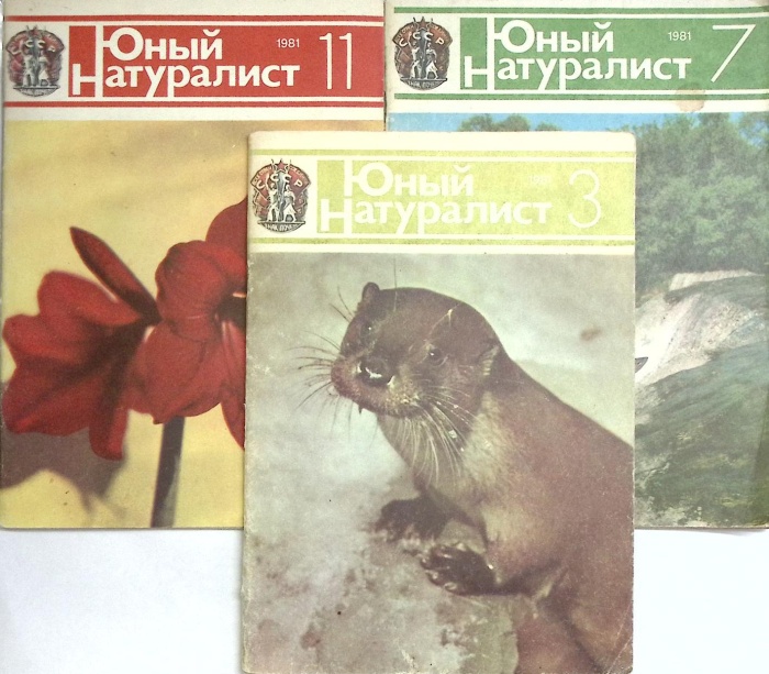 Журнал Юный натуралист 1981 № 3, 7, 11 Москва Мягкая обл. 150 с. С цв илл
