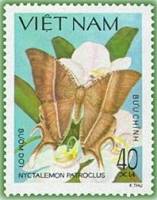 (1983-072a) Марка Вьетнам "Лисса патрокл"  Без перфорации  Бабочки III Θ