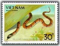 (1989-045) Марка Вьетнам "Коралловая змея Макклелланда"    Ядовитые змеи III Θ