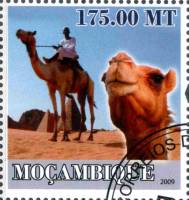 (№2009-3155) Марка Мозамбик 2009 год "История автомобильного транспорта я средствами тяговое животно