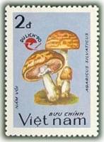 (1990-109) Марка Вьетнам "Шампиньон лесной"    Туризм III Θ