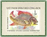 (1976-041) Марка Вьетнам "Парусный окунь"   Тропические рыбы III Θ